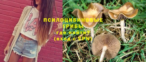 хмурый Балабаново