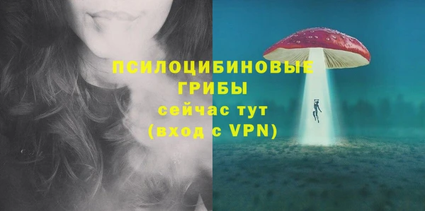 хмурый Балабаново