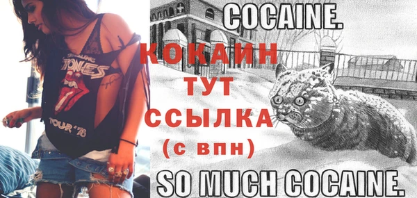 хмурый Балабаново