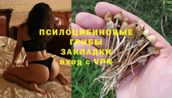 хмурый Балабаново