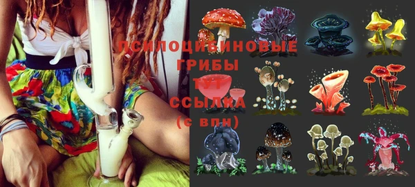 хмурый Балабаново