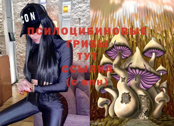 марки nbome Баксан